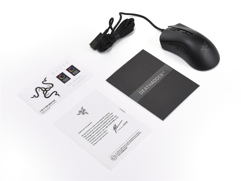 Razer DeathAdder V2 Accessories